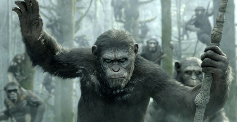 Caesar in Dawn of the Planet of the Apes (2014) Movie Image